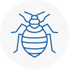 Bed Bug Extermination In Bowes Park