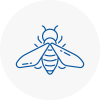Bee Nest Removal Bowes Park