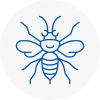 Bowes Park Hornet Nest Removals
