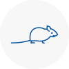 Mice Exterminators In Bowes Park