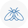 Moth Control Specialists In Bowes Park
