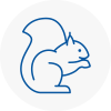 Bowes Park Rodent Removals