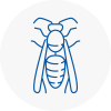 Bowes Park Wasp Nest Removal